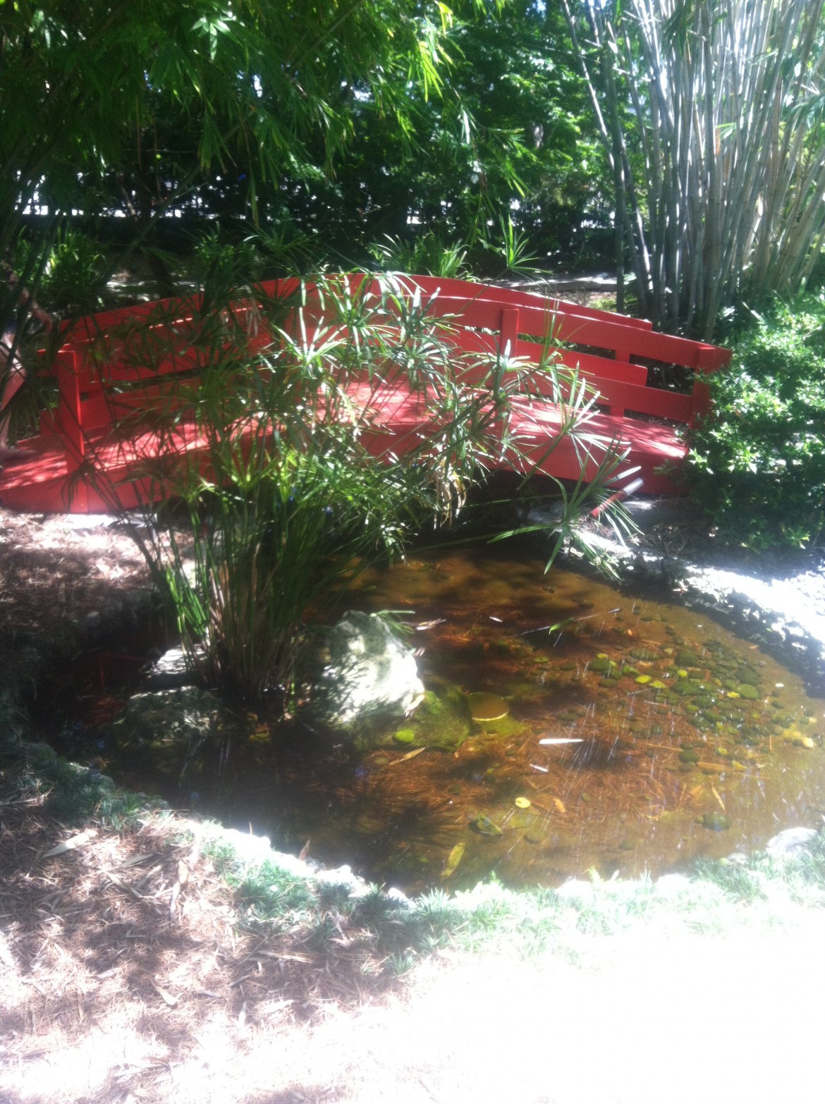 zen japanese meditation garden